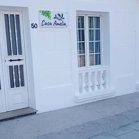 Entero Con Jardin En Casa Amelia