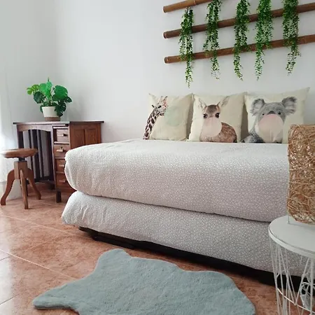 Entero Con Jardin En Casa Amelia * Padrón